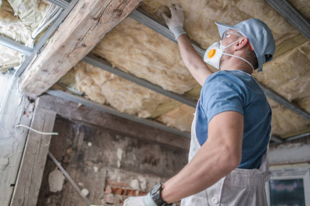Best Insulation Maintenance and Repair in Hoffman Estates, IL
