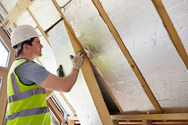 Best Insulation Maintenance and Repair in Hoffman Estates, IL